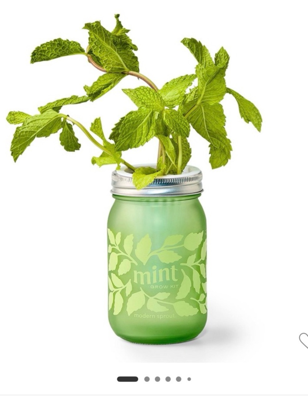 Mint Grow Kit Jar Planter - Green